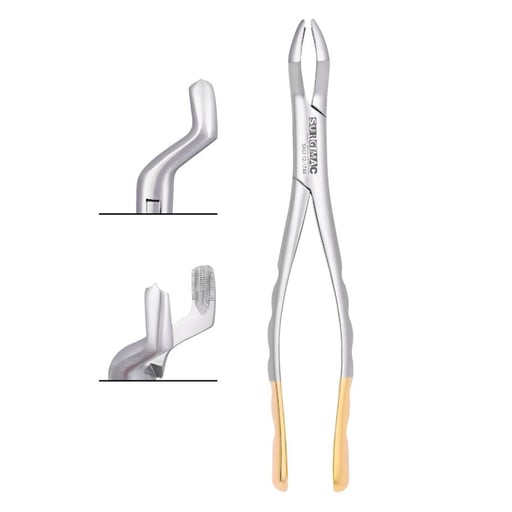 House Brand #53L SG (serrated) upper 1st and 2nd molar-left with bayonet pattern