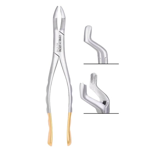 House Brand #53R SG (serrated) upper 1st and 2nd molar-right with bayonet pattern