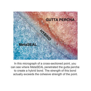 MetaSEAL Endodontic Sealer Kit S160