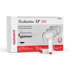 Septodont | Septodont Biodentine XP 500 Cartridges 10/bx | 01-C0720