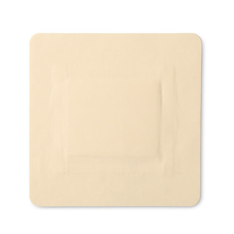 Kerramax Care, Gentle Border, 6 X 6in (16 X 16cm) PRD500-1175-10