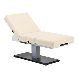 Everest Spa Pedestal Electric Lift Table Height Adjustment 600 lbs. Weight Capacity 8006998