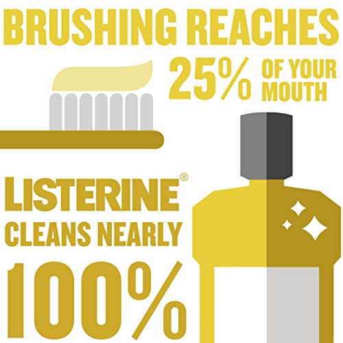 Listerine Original Antiseptic Oral Care Mouthwash, 250 mL/ 8.5 fl. oz 20509-1