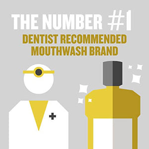 Listerine Original Antiseptic Oral Care Mouthwash, 250 mL/ 8.5 fl. oz 20509-1