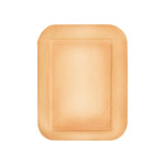 Plastic Adhesive Bandages 2 x 3 165001
