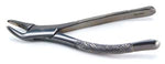 Forceps, #151S-Pedo University, Lower QF151S
