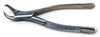 Forceps, #23-Cowhorn, Lower