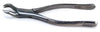 Forceps, #88L-Nevius, Upper Left