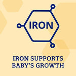 Infant Formula Enfamil 12.5 oz. Can Powder Iron 174004