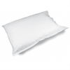 Pillow Cases - TP 2-Ply, White, 21