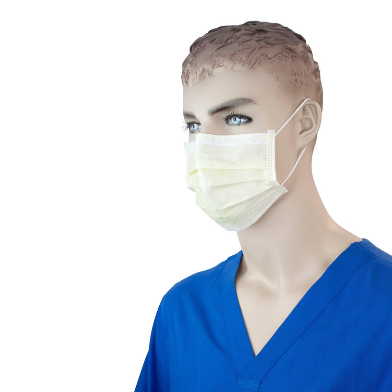 Procedure Face Masks 2208-1