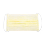 Procedure Face Masks 2201-1