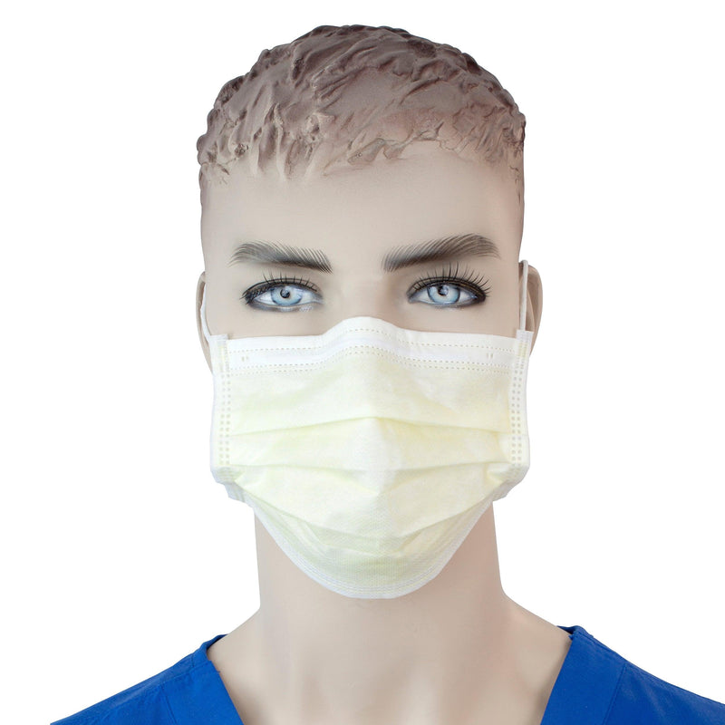 Procedure Face Masks 2201-1