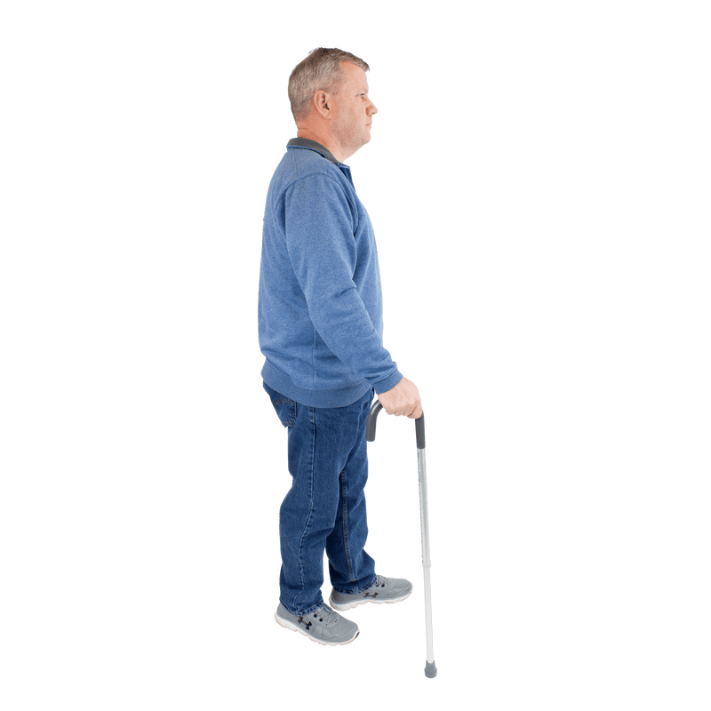 Round Handle Canes 10131