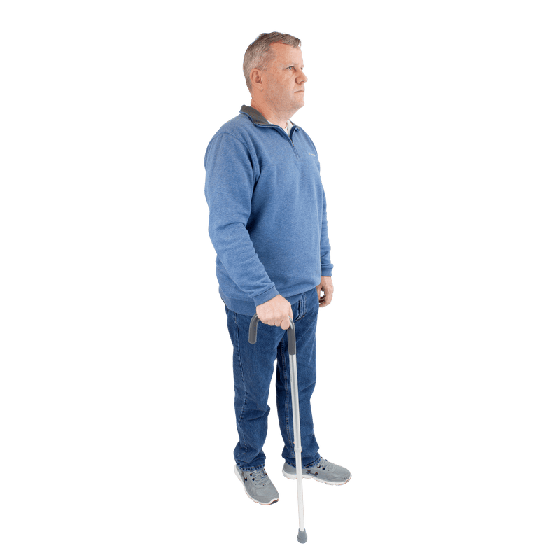 Round Handle Canes 10131