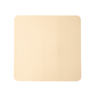 SiliGentle AG Silver Silicone Foam Dressing 3083