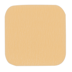 SiliGentle Foam Dressings 3055