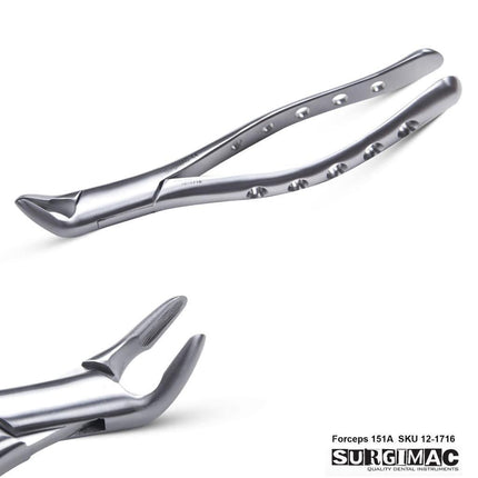 Extracting Forceps #151A Universal for Lower Incisors, Canines, and Premolars by SurgiMac