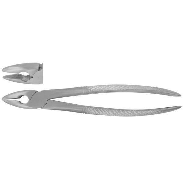 Extracting forceps # MD1 Universal Extracting Forceps for Upper, Central, Lateral Cuspid by SurgiMac 12-1703