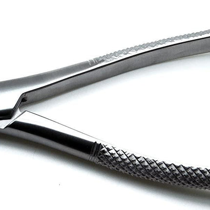 Universal Extraction 151 Forceps Upper or Lower - Surgimac | SurgiMac | SurgiMac